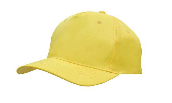 Headwear Budget Cap (4011)