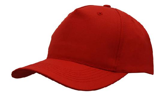 Headwear Budget Cap (4011)