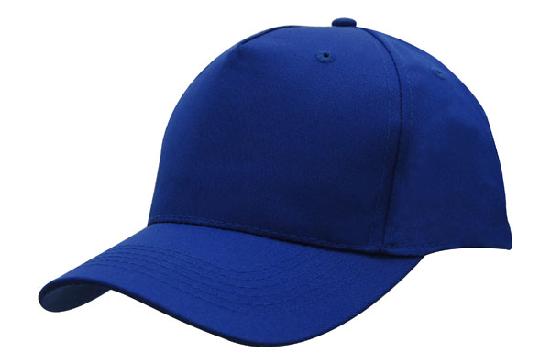 Headwear Budget Cap (4011)